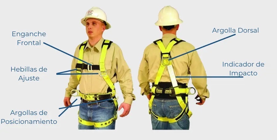 Componentes de un arns de seguridad