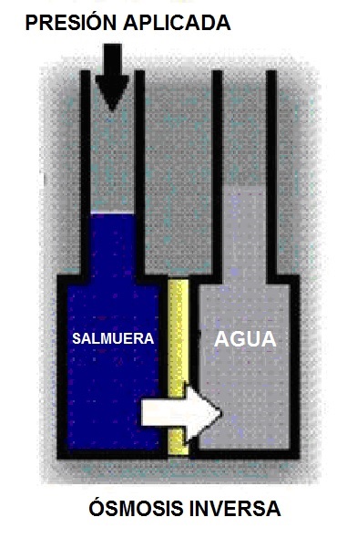 Ilustracin del proceso de smosis inversa