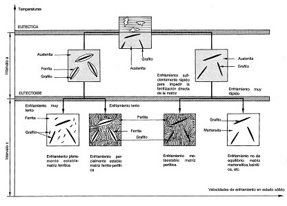 Proceso de solidificacin de la fundicin gris