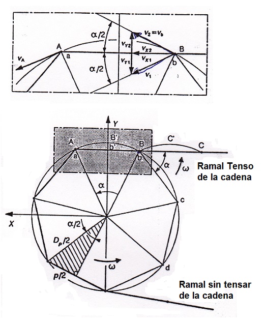 Movimiento de la cadena sobre la rueda dentada