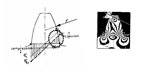 Distribucin de tensiones en la base del diente