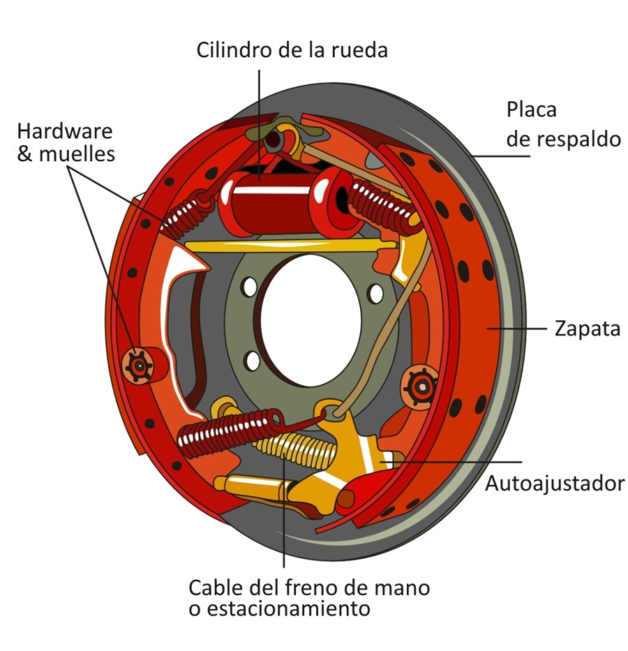 Componentes del freno de tambor