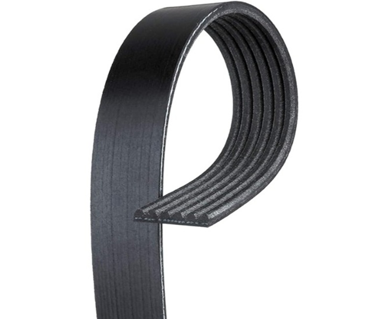 Ejemplo de correa serpentina Poly-V para vehculos