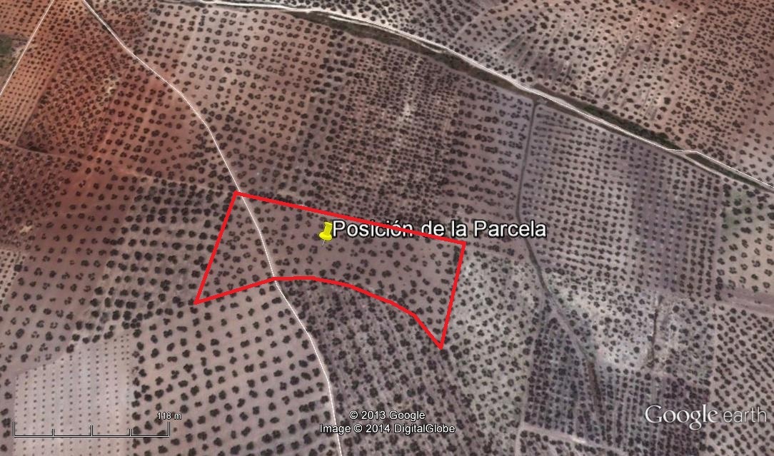 Emplazamiento de la parcela de olivos