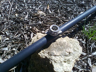 Gotero de un sistema de riego por goteo