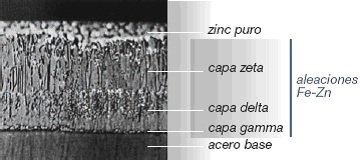 Formacin de la capa de zinc en los aceros galvanizados