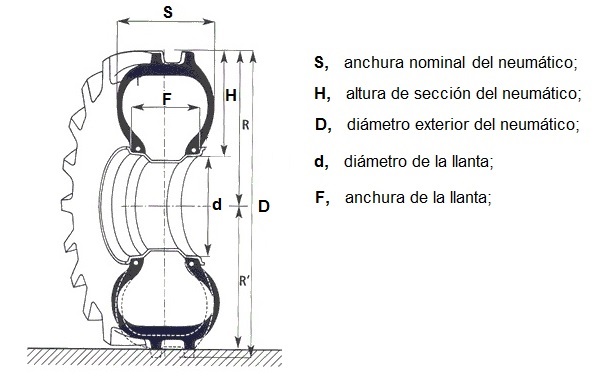 Seccin de un neumtico