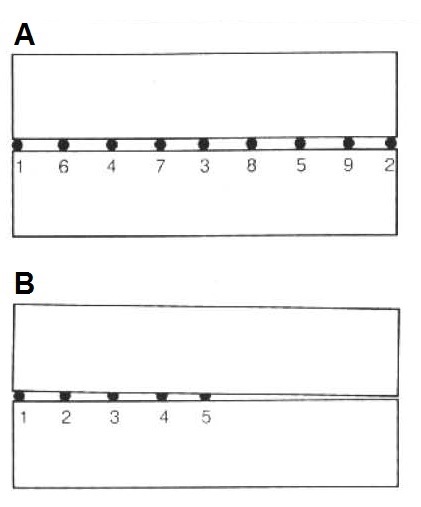 Punteado de la soldadura