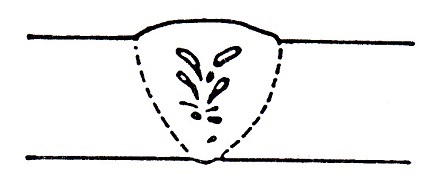 Porosidades interiores de tipo vermicular en la soldadura