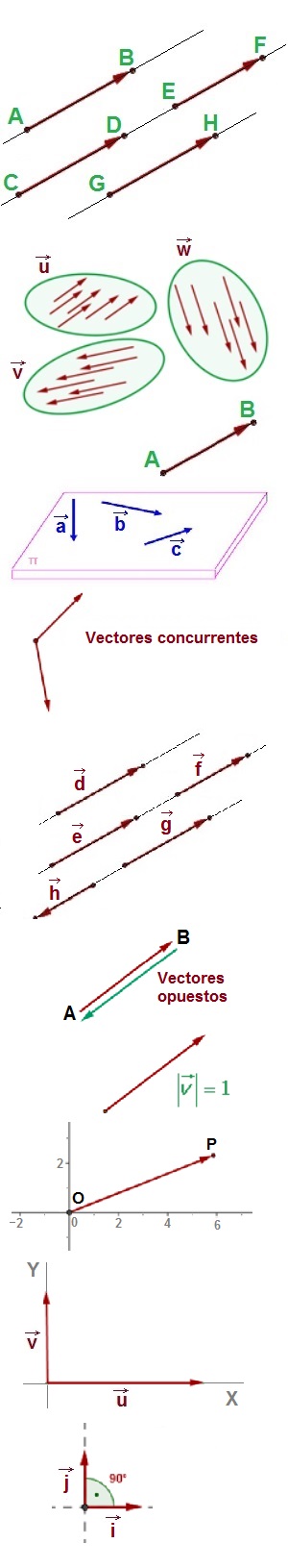 Clasificacin de vectores