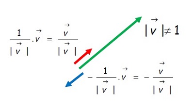 Vector unitario