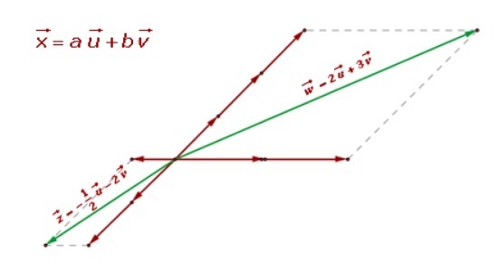 Base vectorial